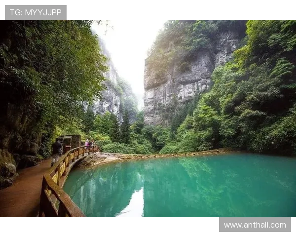 欧博开户客服微信：微信开户常见问题及专业解答指南