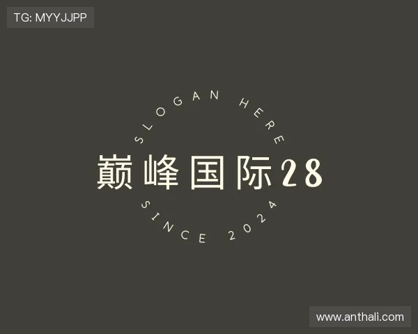 解读巅峰国际28